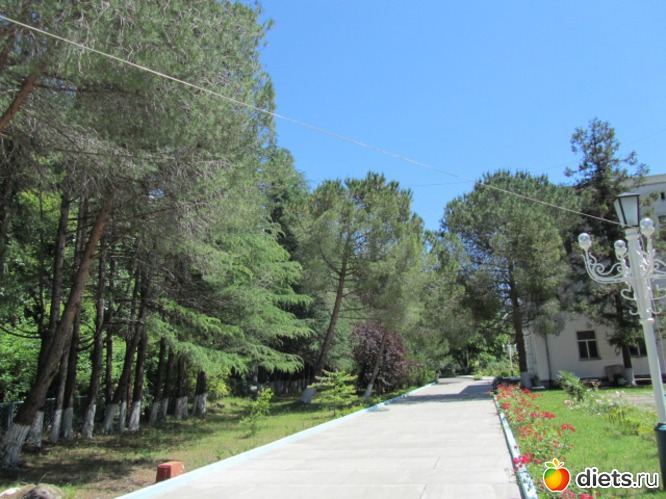 2 ����: �������