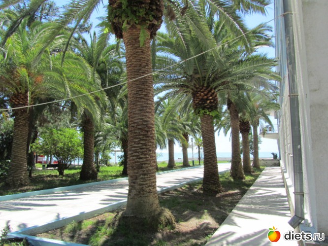 3 ����: �������