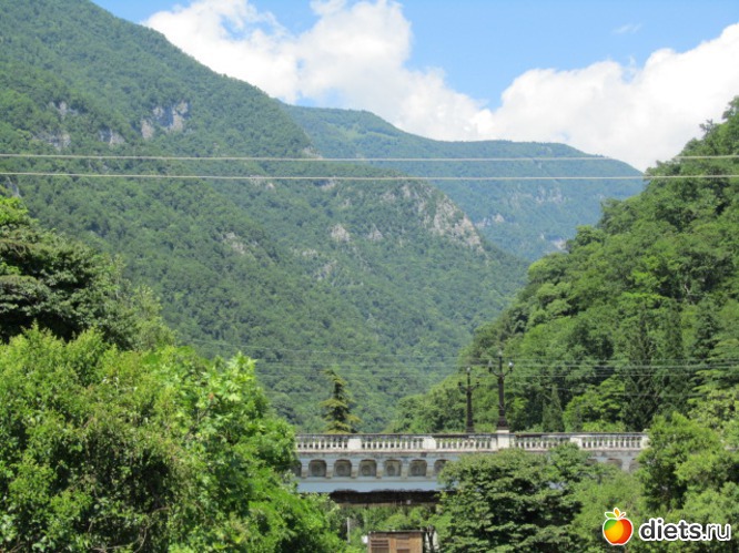 5 ����: �������