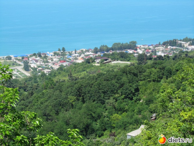 6 ����: �������