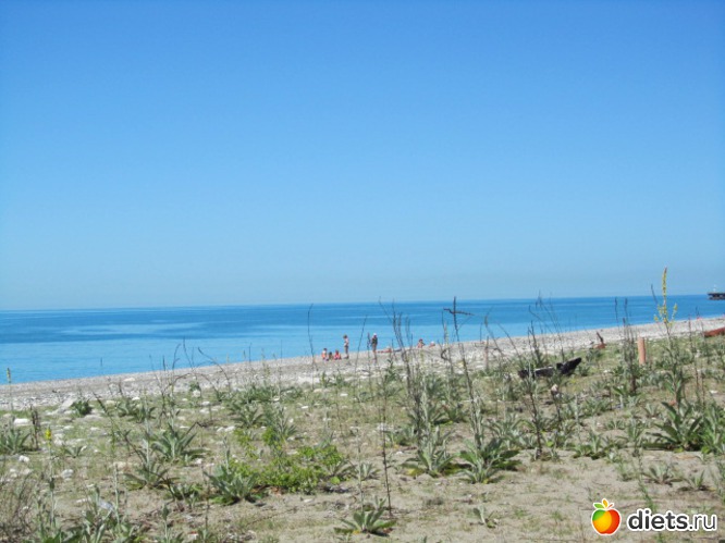 � �����)������ �������), ������: �������