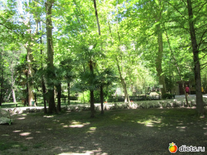 9 ����: �������