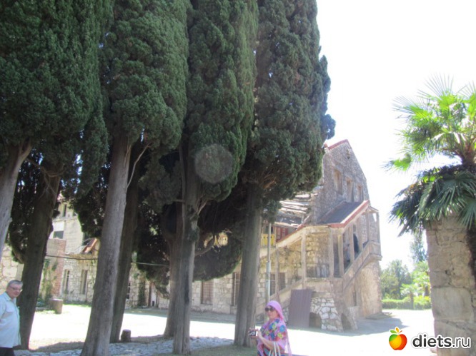 ��������� ����������� ��������), ������: �������