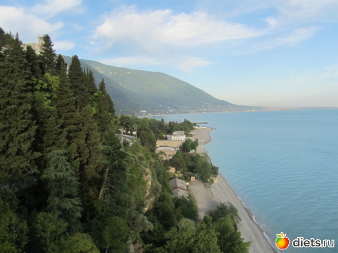 ��� �� ���   ����� � ������ �������� ������)  � �������� �����), ������: �������