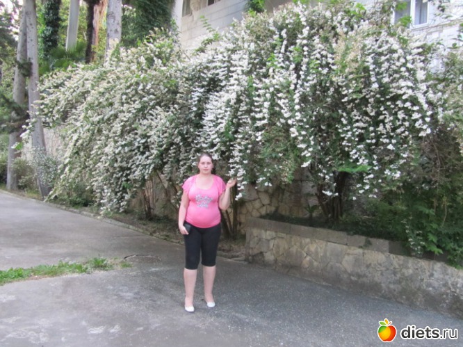 16 ����: �������