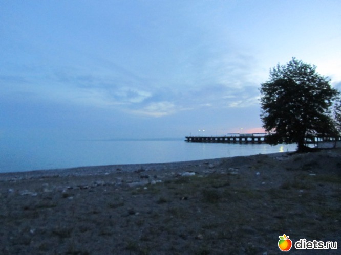 18 ����: �������