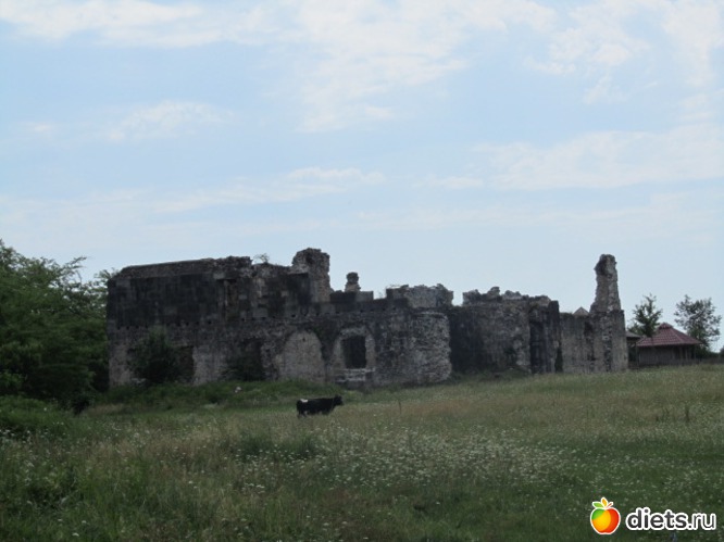 19 ����: �������