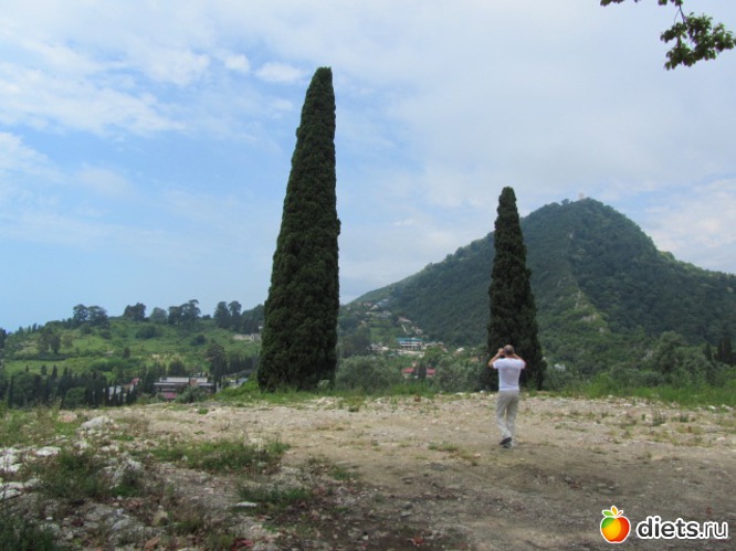 20 ����: �������