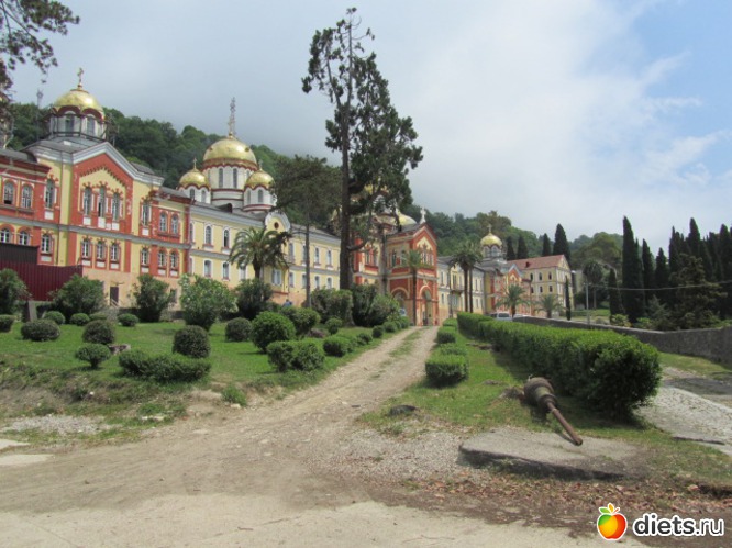 ���� �������� ������� ���������, ������: �������