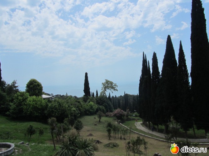 ����� ��������� . ������ � ���������, ������: �������