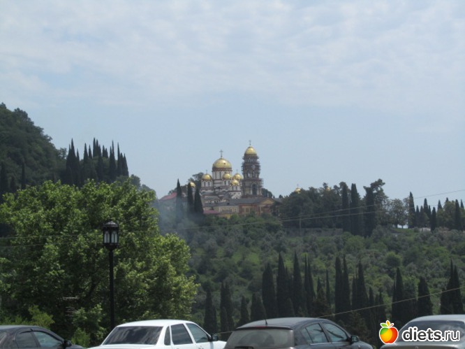 24 ����: �������