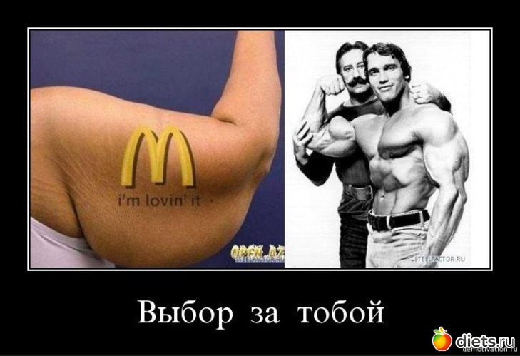 52 ����: ���������