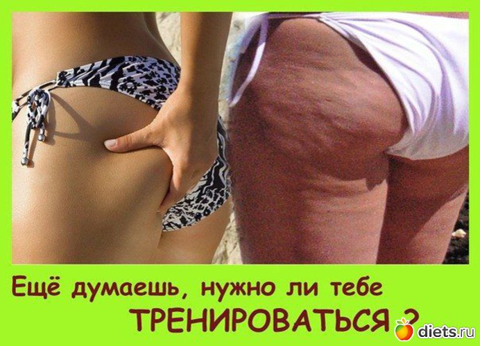 54 ����: ���������