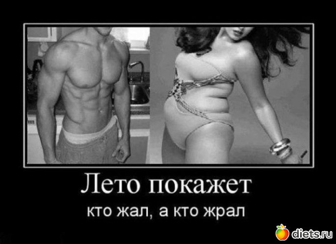 71 ����: ���������