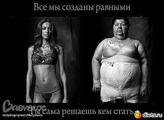 3 ����: ���������