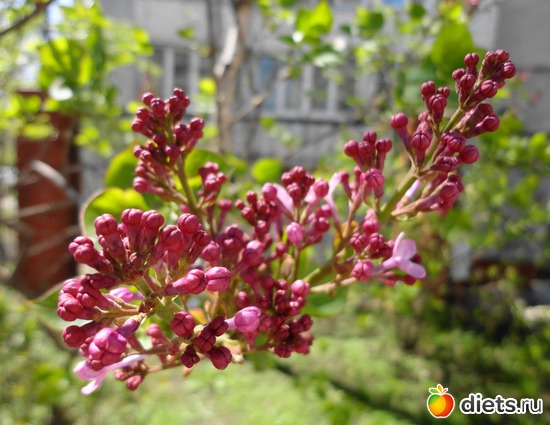 24 ����: ����� � ����-�������� ����!