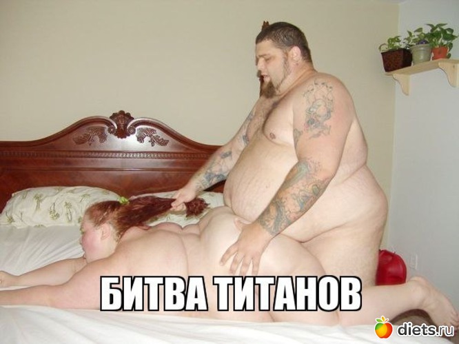 7 ����: ����������