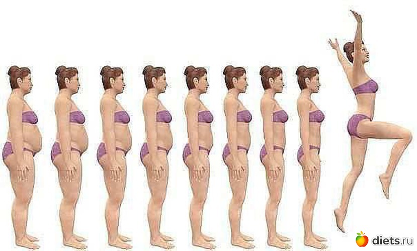 14 ����: ���������