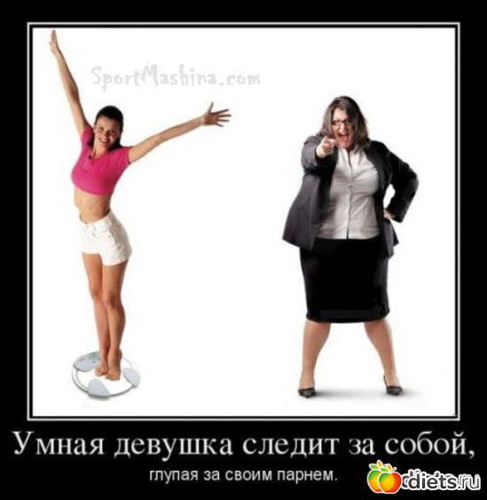 42 ����: ����������