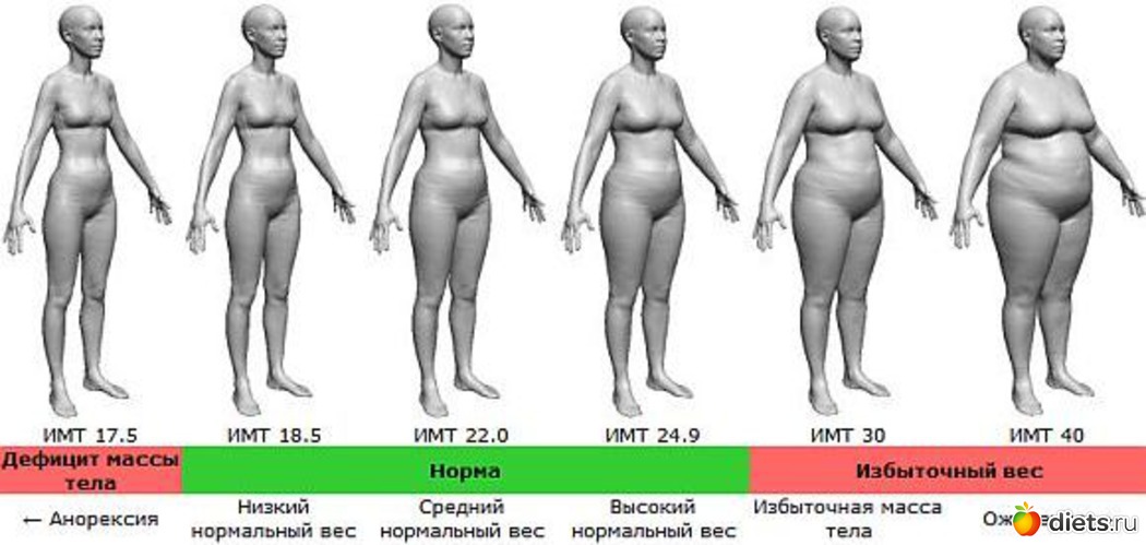 47 ����: ����������