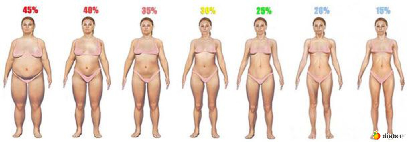 68 ����: ����������