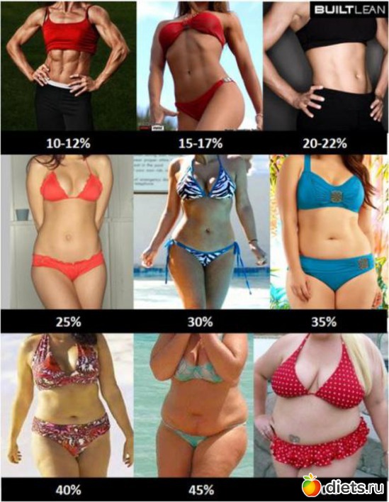 74 ����: ����������