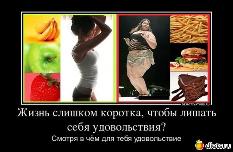 87 ����: ����������