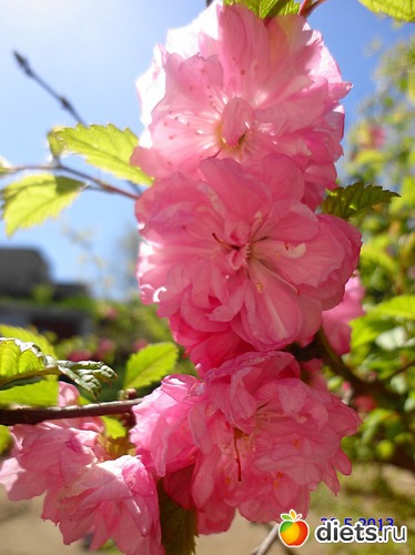 25 ����: ����� � ����-�������� ����!