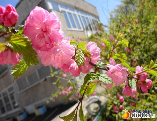 26 ����: ����� � ����-�������� ����!