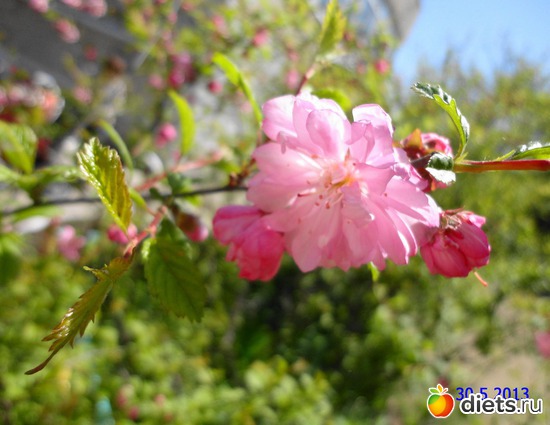 27 ����: ����� � ����-�������� ����!