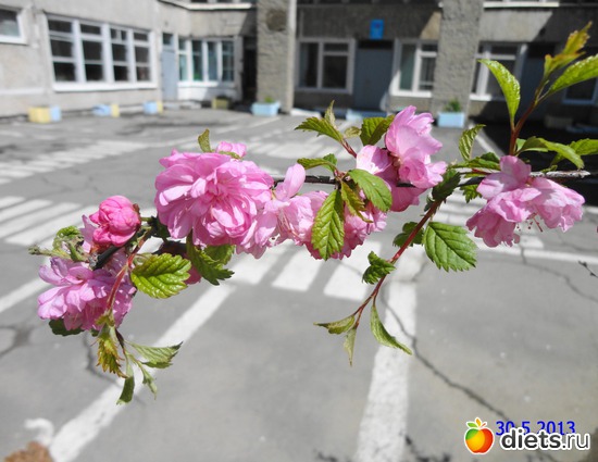 28 ����: ����� � ����-�������� ����!