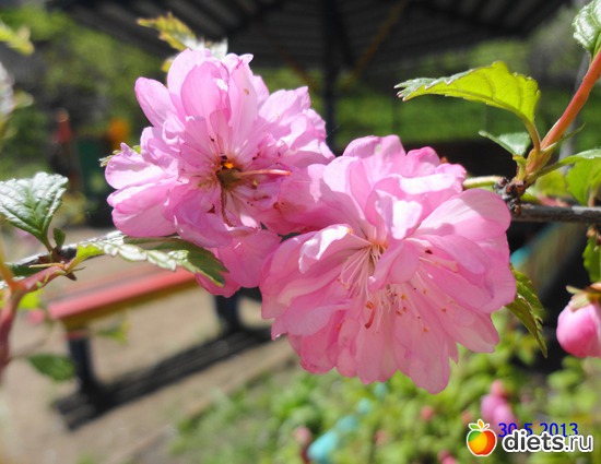 29 ����: ����� � ����-�������� ����!