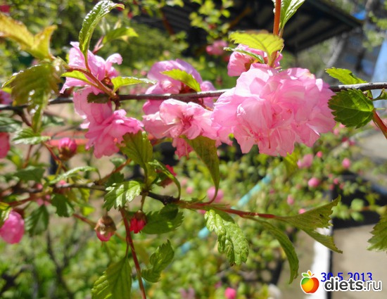 30 ����: ����� � ����-�������� ����!