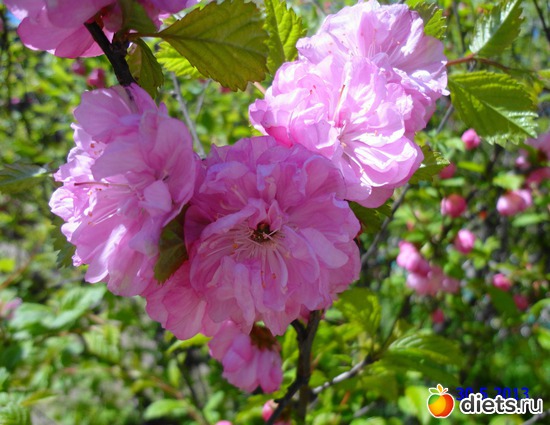 32 ����: ����� � ����-�������� ����!