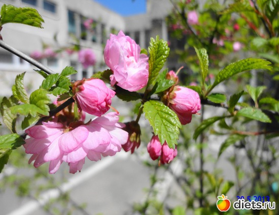 33 ����: ����� � ����-�������� ����!