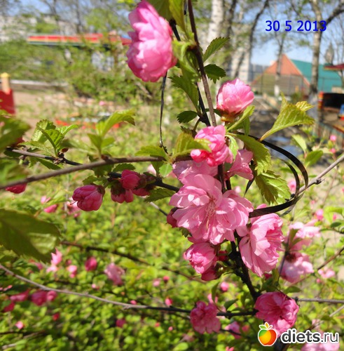 34 ����: ����� � ����-�������� ����!