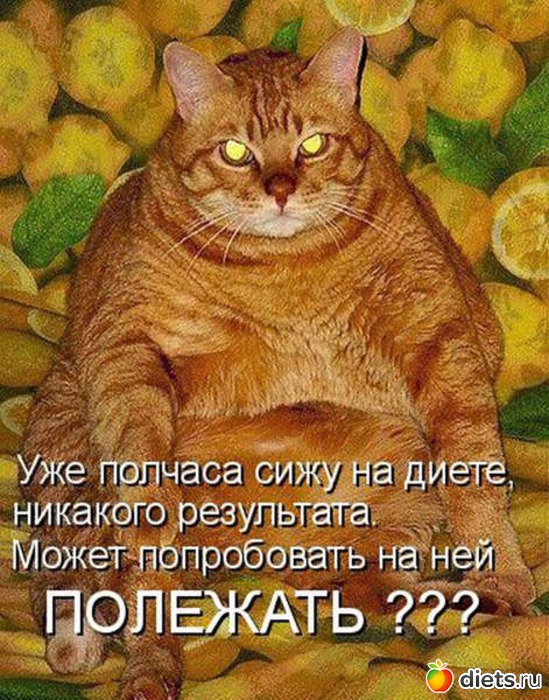 5 ����: ������� �����...