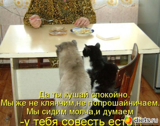 26 ����: ������� �����...