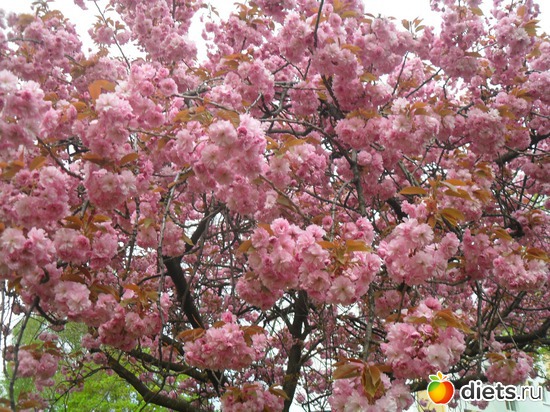 1 ����: ������������� ����