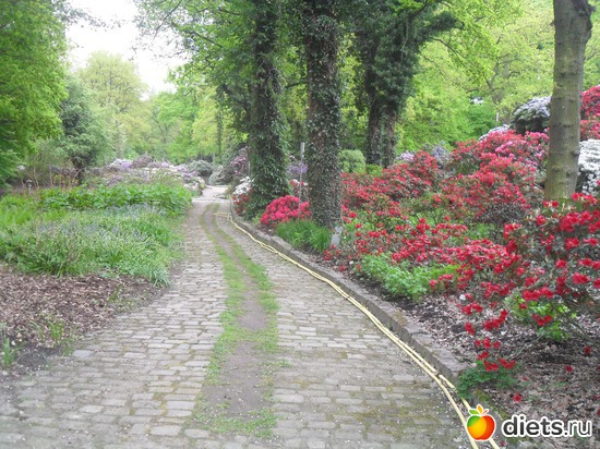 23 ����: ������������� ����