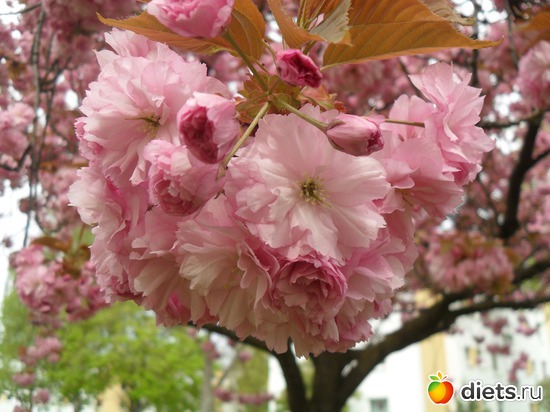 2 ����: ������������� ����