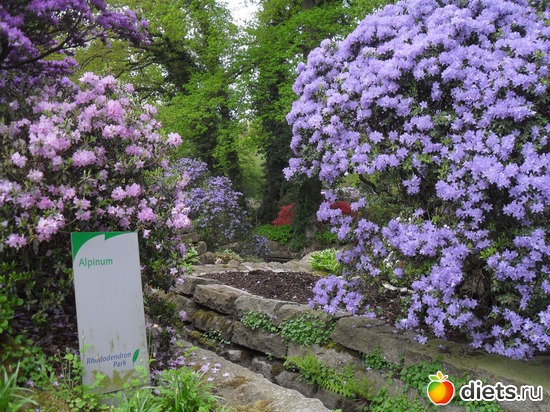 24 ����: ������������� ����