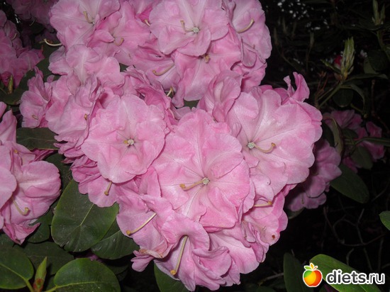 25 ����: ������������� ����