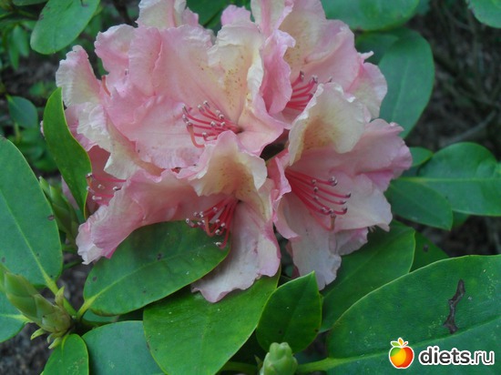 27 ����: ������������� ����