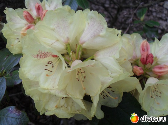 28 ����: ������������� ����