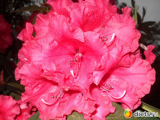 29 ����: ������������� ����