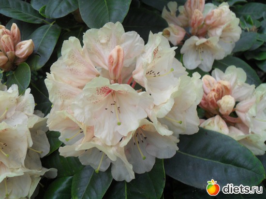 30 ����: ������������� ����