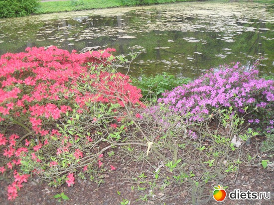 31 ����: ������������� ����