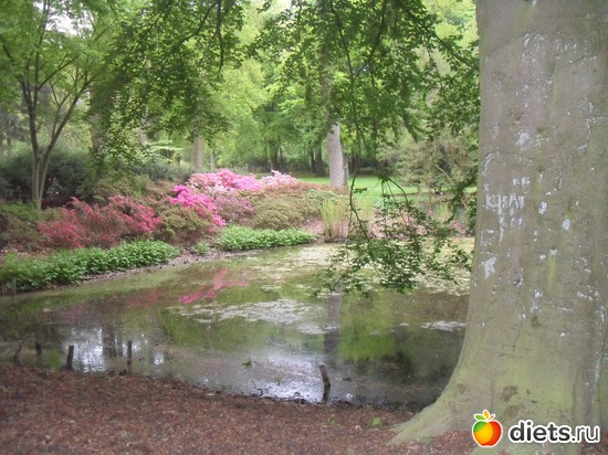 32 ����: ������������� ����