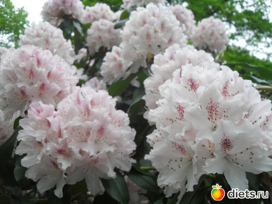 33 ����: ������������� ����